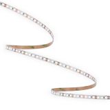 ORO33555 ORO STRIP SMD 24V⁄1000LM⁄NW 50M pac un 1.jpg
