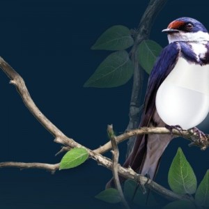 oświetlenie led ekologia led-pol.com.jpg