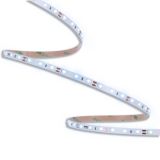 ORO33553 ORO STRIP SMD 24V⁄500LM⁄CW 50M pac un 1.jpg