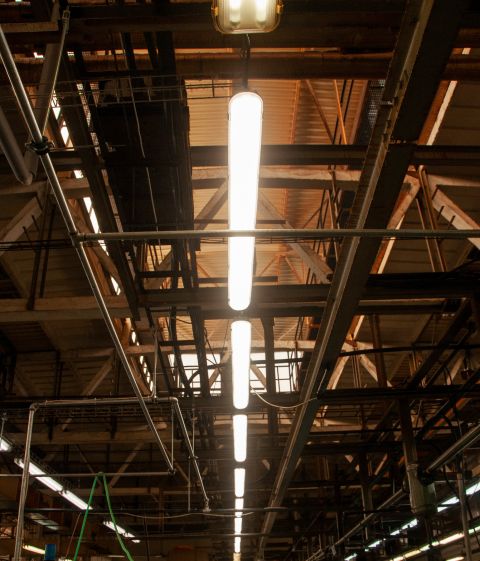 led-pol.com_Motorpal Czechy CZ (3).jpg