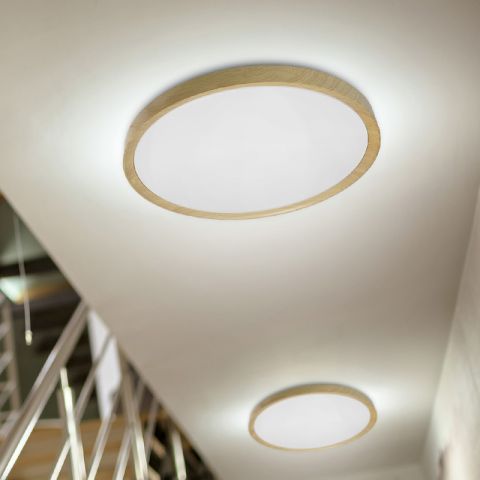 fot_ORO-OLMO web led-pol (2).jpg